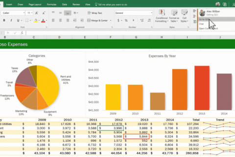 MS Excel