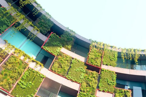 Renders 3Ds Max