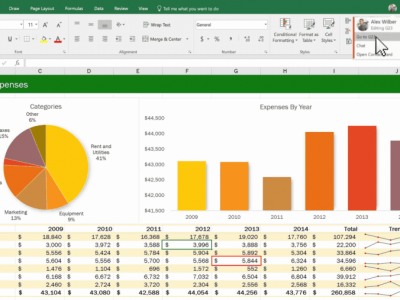 Especialización en MS Excel
