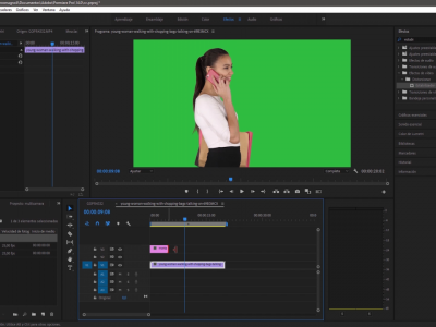 Premiere Pro
