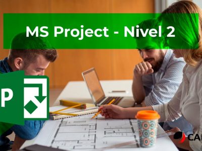 MS Project – Nivel 2