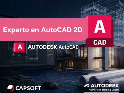 Experto en AutoCAD 2D