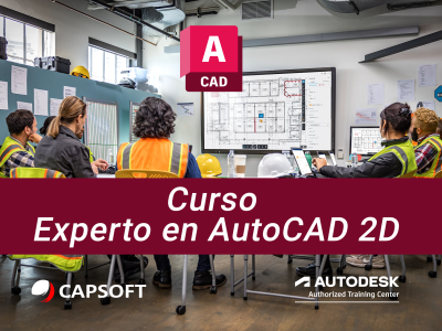 Experto en AutoCAD 2D