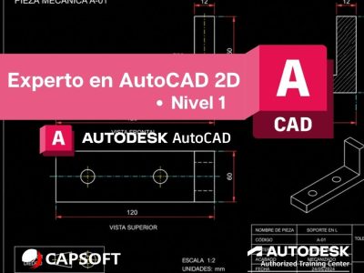 Experto en AutoCAD 2D – Nivel 1
