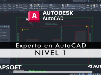 Experto en AutoCAD 2D – Nivel 1