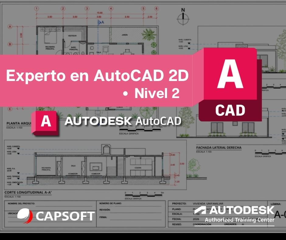 autocad n2